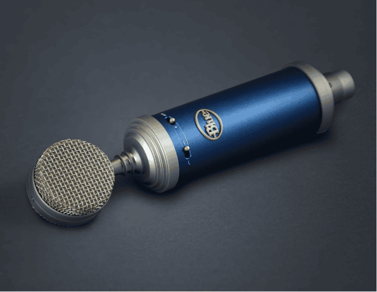 Blue Bluebird Microphone Review